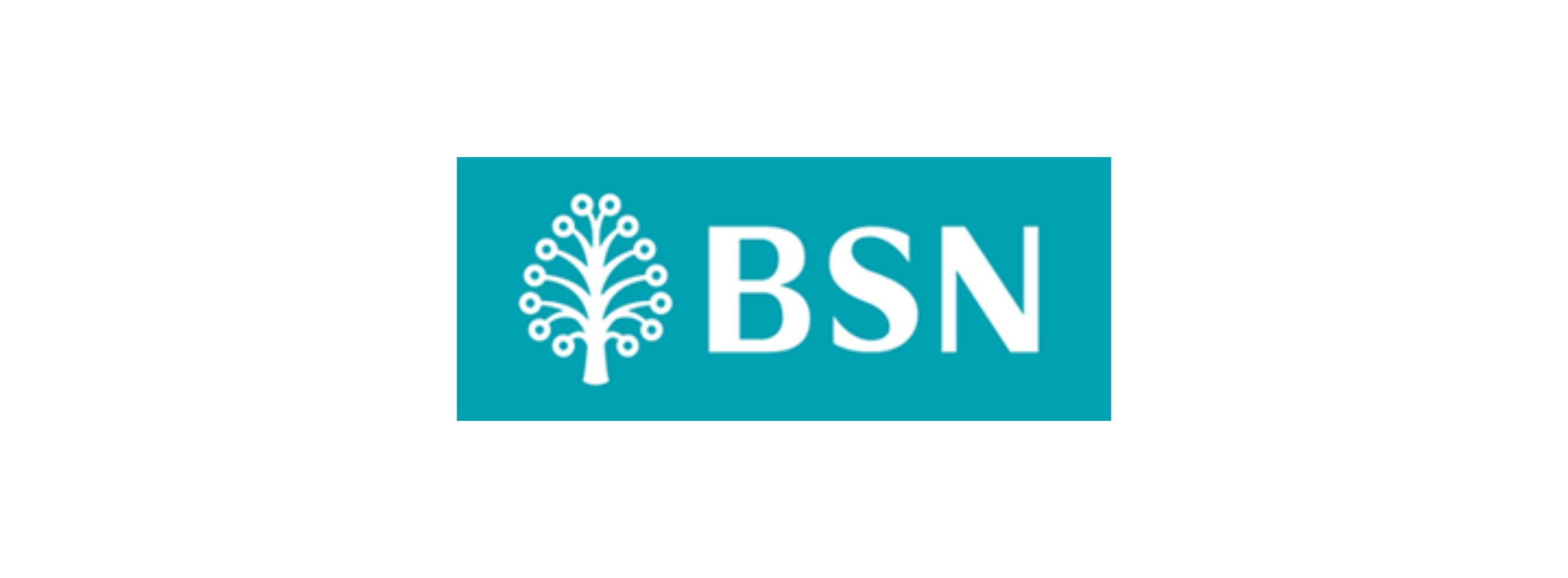 BSN LOGO